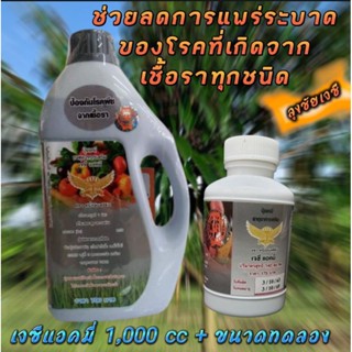2 กระปุก เจซี แอคมี่1000 cc+100 cc ขนาดทดลองแพ็คคู่