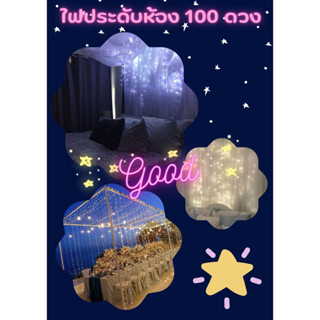 ไฟประดับตกแต่งเพื่อสวยงาม LED 100 ดวง เสียบปลั๊กไฟ แบบไม่กระพริบ ความยาว8 เมตร