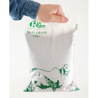 เมล็ดพันธุ์หญ้ารูซี่ 1 kg เกรดส่งออก Ruzi Grass จาก ไร่วิทยา อาหารสัตว์ใหญ่ หญ้าเลี้ยงวัวควายแพะแกะไก่