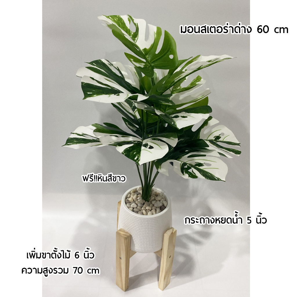 ต้นไม้ปลอม มอนสเตอร่าด่างสูง 60 ซม. ขนาด12ใบฟอร์มสวย (พร้อมกระถางและหินสีขาว)
