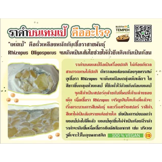 Tempeh Busita - พรีเมี่ยม เทมเป้ อบนิ่ม พร้อมทาน โปรตีนสูง