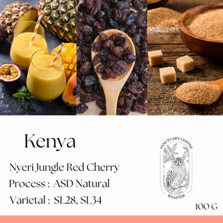 เมล็ดกาแฟ Kenya Nyeri Jungle Red Cherry ASD Natural