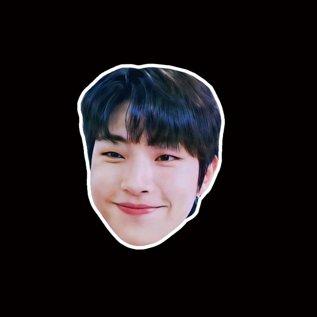 สติ๊กเกอร์กันน้ำ สติ๊กเกอร์ติดรถ แม่เหล็กติดตู้เย็น ไดคัทหน้าคน สัตว์เลี้ยง DCUT29 hwang in yeop ฮวั