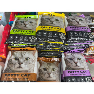 ทรายแมว ภูเขาไฟ fatty 10L