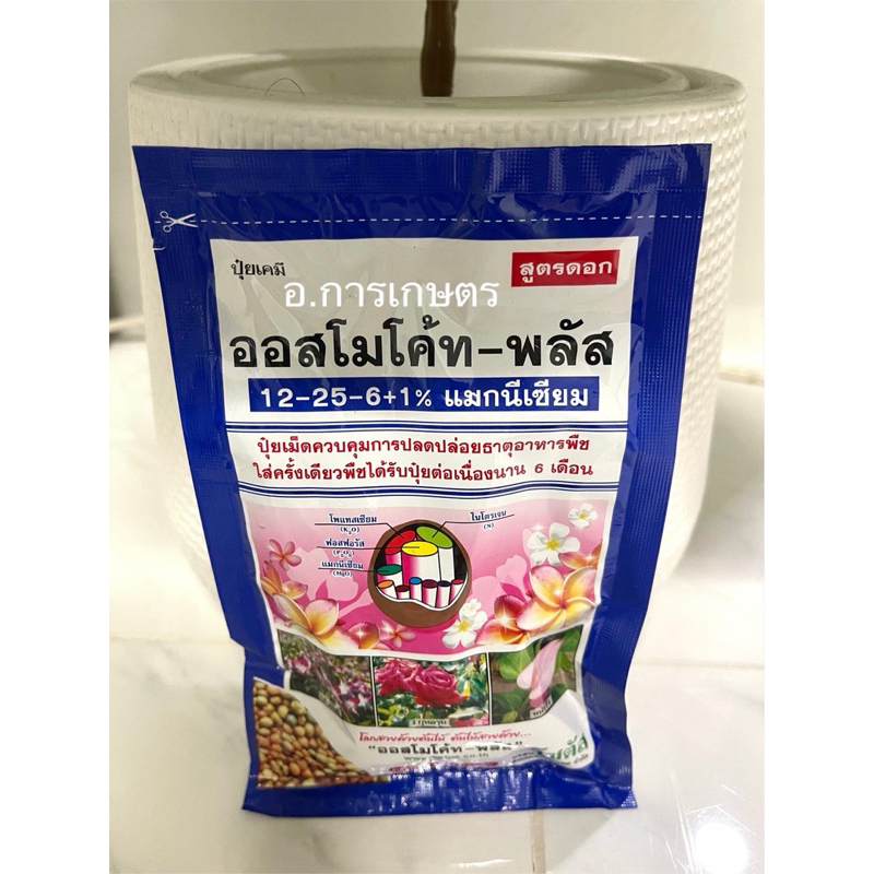 เก็บโค้ตส่งฟรีลดสูงสุด 300 ออสโมโค้ท พลัส สูตร 12-25-6 ขนาด 100 กรัม ใส่เพียงครั้งเดียว ได้รับปุ๋ยต่อเนื่องนาน 6 เดือน
