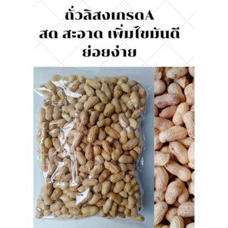 ถั่วลิสง เกรดA อาหารนกแก้ว หนูแฮมสเตอร์ และสัตว์ฟันแทะ แบ่งขาย 250g 500g 1kg