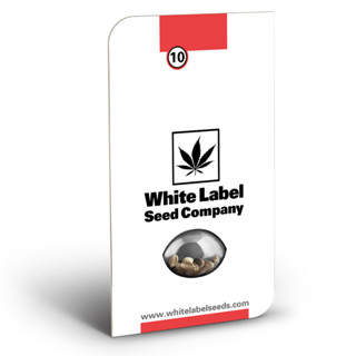 เมล็ดกัญชา White Label Cali Orange Bud Regular Cannabis Seeds (Pack of 10)