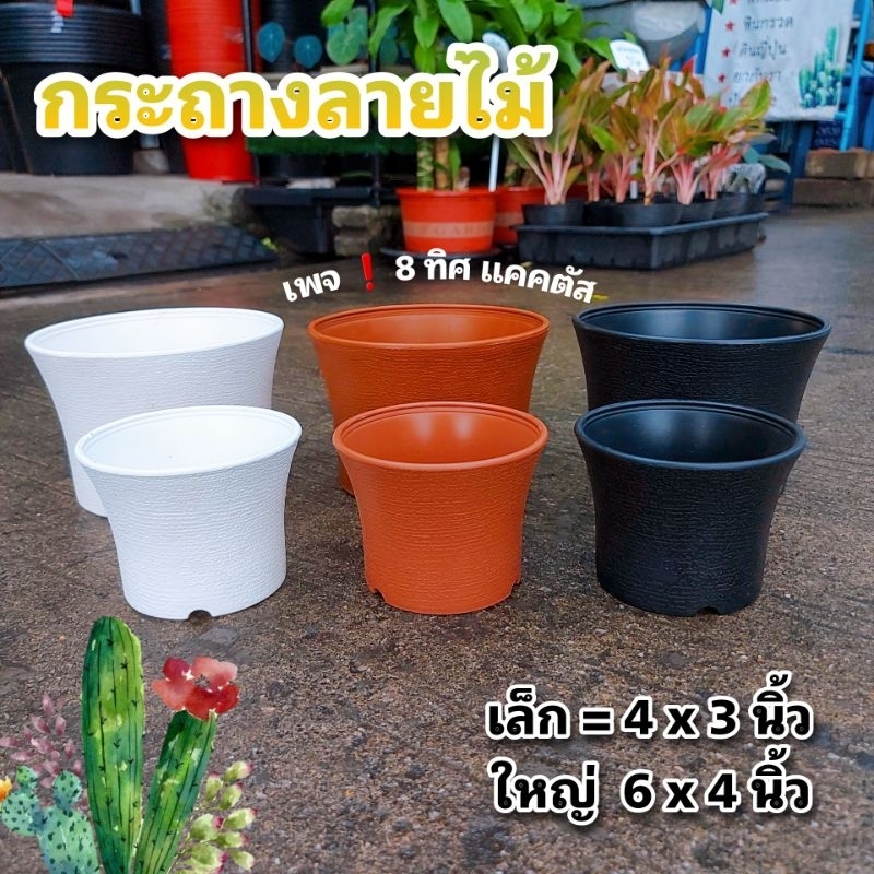 // กระถาง 4 5 นิ้ว // ลายไม้ // พลาสติก แคคตัส กระบองเพชร