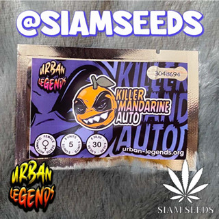 เมล็ดกัญชา Urban Legends Killer Mandarine Auto Cannabis Seeds (Pack of 5)