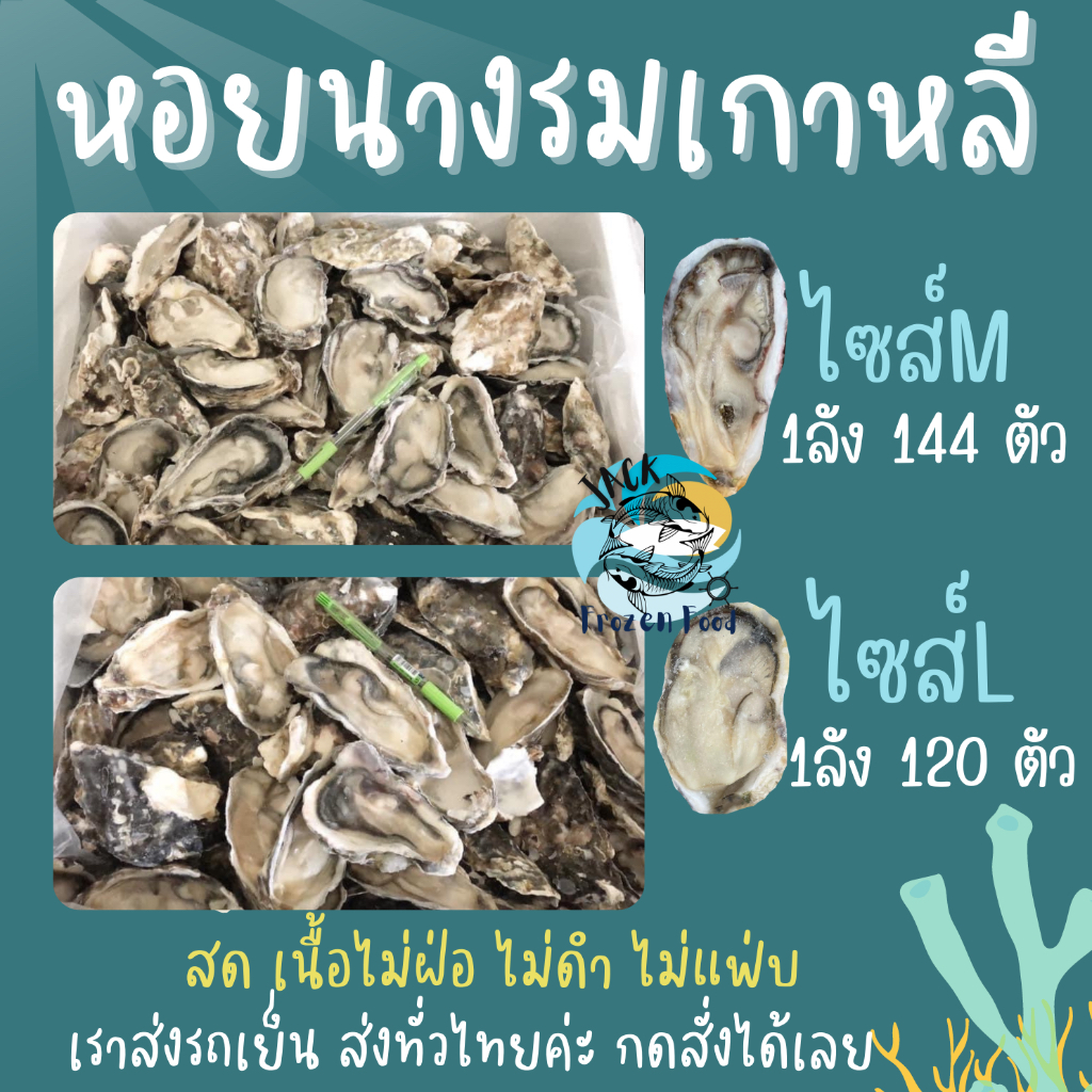หอยนางรมสด หอยนางรมเกาหลี มี2ขนาด ยกลัง ตรงปก หอยนางรมแช่แข็ง หอยนางรม หอย oyster ส่งทั่วไทย