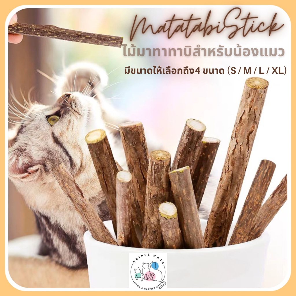 Matatabi  ไม้มาทาทาบิ ไม้ขัดฟันแมว มาทาทาบิ ขัดฟันแมว สำหรับแมว ของเล่นแมว ลดคราบหินปูน
