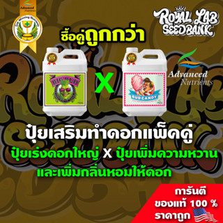 [ขายดี] ปุ๋ยทำดอก 2 สูตร Big Bud ปุ๋ยเร่งดอกใหญ่ และ Bud Candy ปุ๋ยเพิ่มกลิ่นให้ดอกแพ็คคู่ ถูกที่สุด