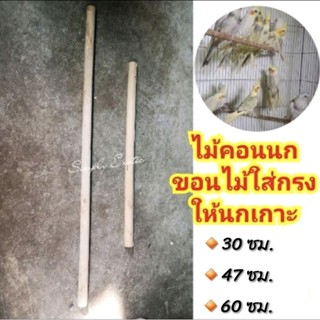 ไม้สำหรับใส่กรงนก ไม้สำหรับให้สัตว์เลี้ยงเกาะ ไม้คอน คอนไม้ (มี 3 ขนาด)