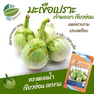 มะเขือเปราะ เจ้าพระยา 2 กรัม (Round Eggplant)