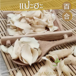 แปะฮะ ชิ้นใหญ่ เกรด AAA 50 100 250 กรัม ปลอดสาร ไม่ฟอกขาว ไม่อบกำมะถัน Lily Bulb สมุนไพรจีน 百合 หัวดอกลิลลี่