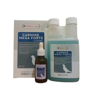 VSL Carmine ( แบ่งขาย ) เสริมความทนทาน ป้องกันตะคริว สร้างกำลังสะสม ขวดดรอปเปอร์ 30 ml.