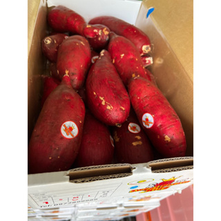ราคามันหวานญี่ปุ่น มันหวานญี่ปุ่นตรามงกุฏ เนื้อสีเหลือง (Sweet Potato King)(  5 กิโลกรัม) มันปลูกที่เวียดนาม