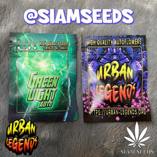 เมล็ดกัญชา Urban Legends Green Light Auto Cannabis Seeds (Pack of 5)