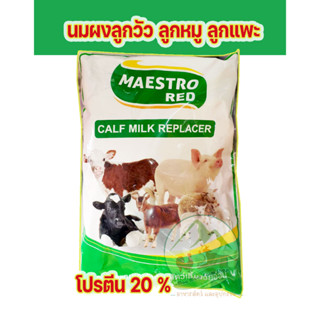 นมผงลูกวัว ลูกหมู ลูกแพะ Maestro  1 กก. นมเลี้ยง วัว โค หมู แพะ แกะ