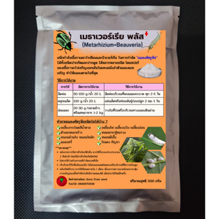 เมตาไรเซียม + บิวเวอเรีย จุลินทรีย์ป้องกันเเมลง (ฉลากใหม่) ขนาด 100 g.