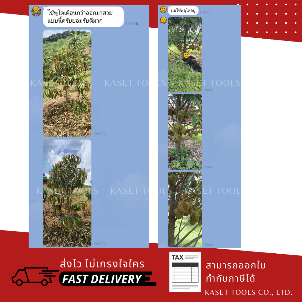 พลูโต ไบโอกรีน (Pluto) สารปรับปรุงดิน ป้องกันโรครากเน่า ฟื้นฟูต้นโทรม (ออกใบกำกับภาษี/พร้อมส่ง) - รูปที่ 4