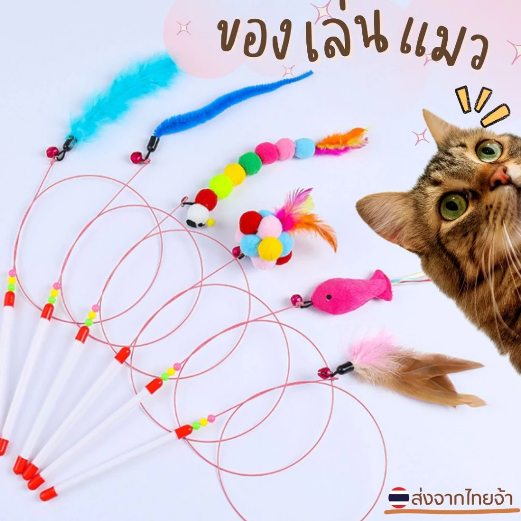 ไม้ตกแมว ไม้ล่อแมว บอลกรงหนู บอลล้มลุก ของเล่นแมว