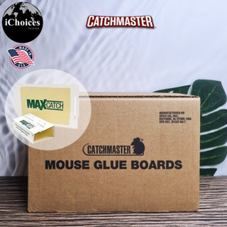 [Catchmaster] Max-Catch Mouse &amp; Insect Glue Trap 1 Piece  #72MB กับดักหนู และแมลง แผ่นกาวดักหนู ขนาด 5.25 x 8.5