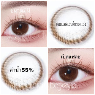 ✨ค่าสายตาปกติและสายตาสั้น✨ขนาดมินิ คอนเเทคเลนส์ cleany Brown Gray ✨Montra✨ ขนาดมินิ Bigeye UV Block