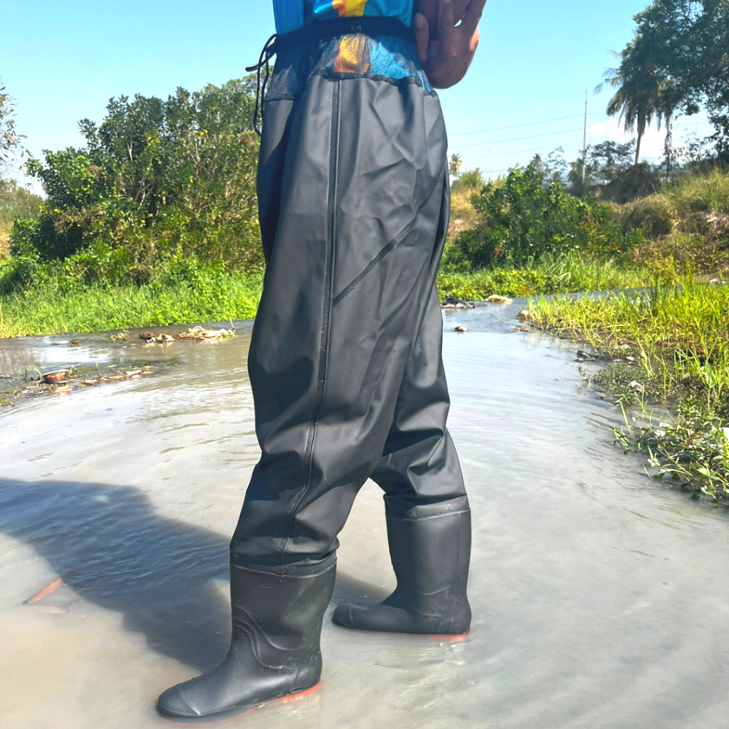 รูปภาพ 2