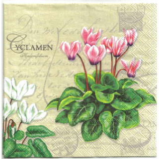 Pladao Napkin ภาพดอกไม้ ดอกไซคลาเมน ชมพู ขาว แดง Cyclamen กระดาษ แนพกิ้น สำหรับงานศิลปะ เดคูพาจ decoupage ขนาด L 33x33