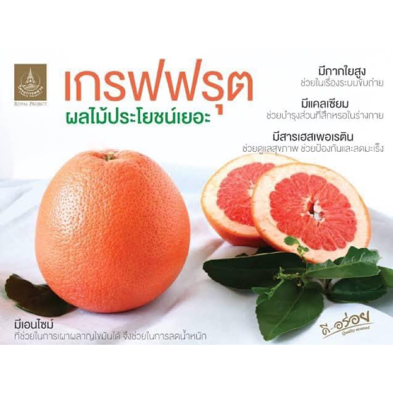 เกรฟฟรุต พันธุ์ ลิโอสตาร์ ผลสีส้ม (Rio Star Grapefruit) ขายต้นละ 280 บาท (กล้าเสียบยอด/กิ่งตอน) แท้ %