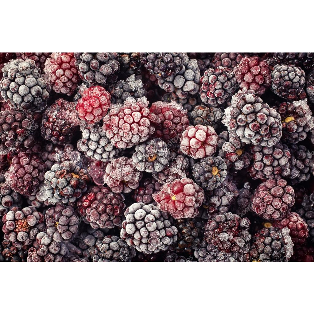 🍇 IQF Blackberry | แบล็กเบอร์รี่แช่แข็งพรีเมียม ผลใหญ่ น้ำหนัก 1 กิโลกรัม