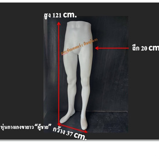 หุ่นโชว์กางเกงขายาว ผู้ชาย หุ่นครึ่งท่อนล่างชาย แบบพลาสติก สีขาว