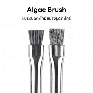 Algae Brush แปรงขัดตะไคร่ แปรงขูดตะไคร่