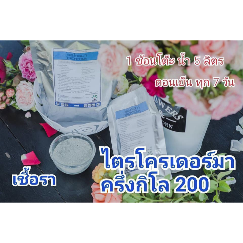 ไตรโคเดอร์มา ชีวภาพ ป้องกัน รา ขนาด ครึ่งกิโล ไม่ส่งพื้นที่ห่างไกล พื้นที่​ท่องเที่ยว​ หมู่เกาะ