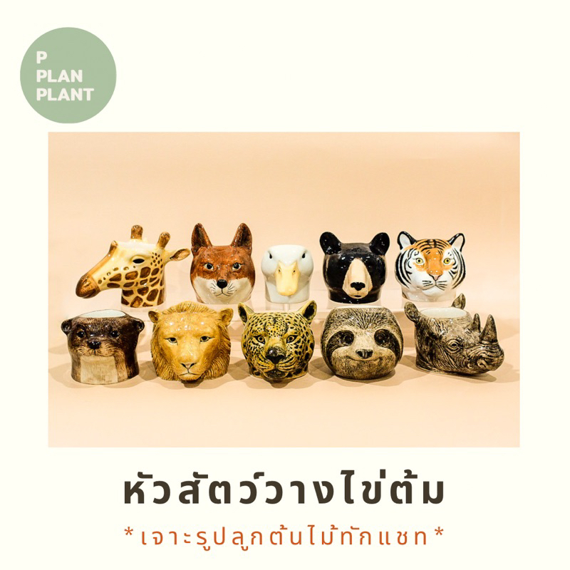 Animal Egg cups: ถ้วยวางไข่ต้ม ของตกแต่งบ้าน เครื่องครัว เซรามิค **กรุงเทพมีส่งด่วน!** – โปรปัง