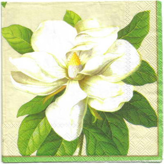 Pladao Napkin ภาพดอกไม้ ดอกแมกโนเลีย Magnolia ดอกใหญ่ กระดาษ แนพกิ้น สำหรับงานศิลปะ เดคูพาจ decoupage ขนาด L 33x33