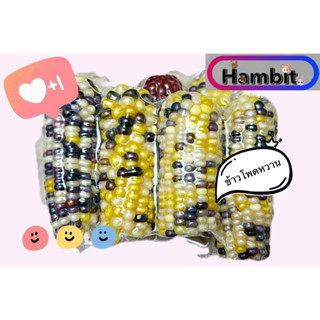 hambit. ข้าวโพดสัตว์ ข้าวโพดสีรุ้ง หลากสีสวย แห้ง ข้าวโพดแฮมเตอร์ กระต่าย นก ชินชิล่า กระรอก กระรอกบิน ชูการ์ไกรเดอร์