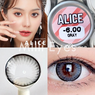 ☀️ Lovelysoft ตาโต ตัดขอบ ปังมาก ☀️🔥 Alice 🔥ฝาเทา ที่สุดในรุ่น ขายดีที่1 รับตรงจากแบรนด์ ✅สาวๆห้ามพลาด อมน้ำสูง55%