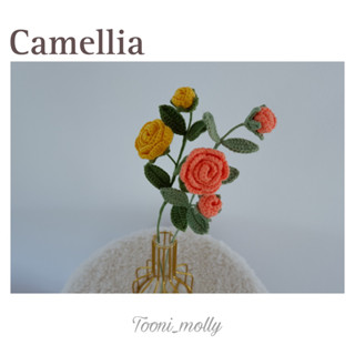 ดอกคามิเลีย (Camellia)