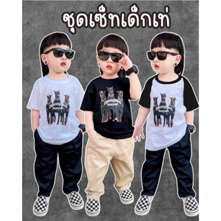 เสื้อยืดพิมลายกางเกงขายาวตามรูป