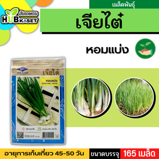 เจียไต๋ 🇹🇭 หอมแบ่ง ขนาดบรรจุประมาณ 165 เมล็ด อายุเก็บเกี่ยว 45-60 วัน