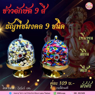 #ข้าวอักษัต9สี #พืชมงคล9ชนิด ถวายองค์พระพิฆเนศ และองค์เทพทุกพระองค์ เพื่อ ความอุดมสมบูรณ์ ความงอกเงย ความเจริญ รุ่งเรือง