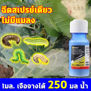 🔥1 ml = 250 mlยาฆ่าแมลง🔥 ZH ยาเชื้อราในพืช ยาฆ่าแมลง 20ml ไม่ทำร้ายพืช ไม่ทำร้ายดิน เน้นจัดสวนที่บ้าน ยาฆ่าแมลงกินใบ