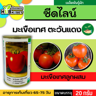 ซีดไลน์ 🇹🇭 มะเขือเทศลูกผสม ตะวันแดง ขนาดบรรจุ 20 กรัม/กระป๋อง อายุเก็บเกี่ยว 65-75 วัน