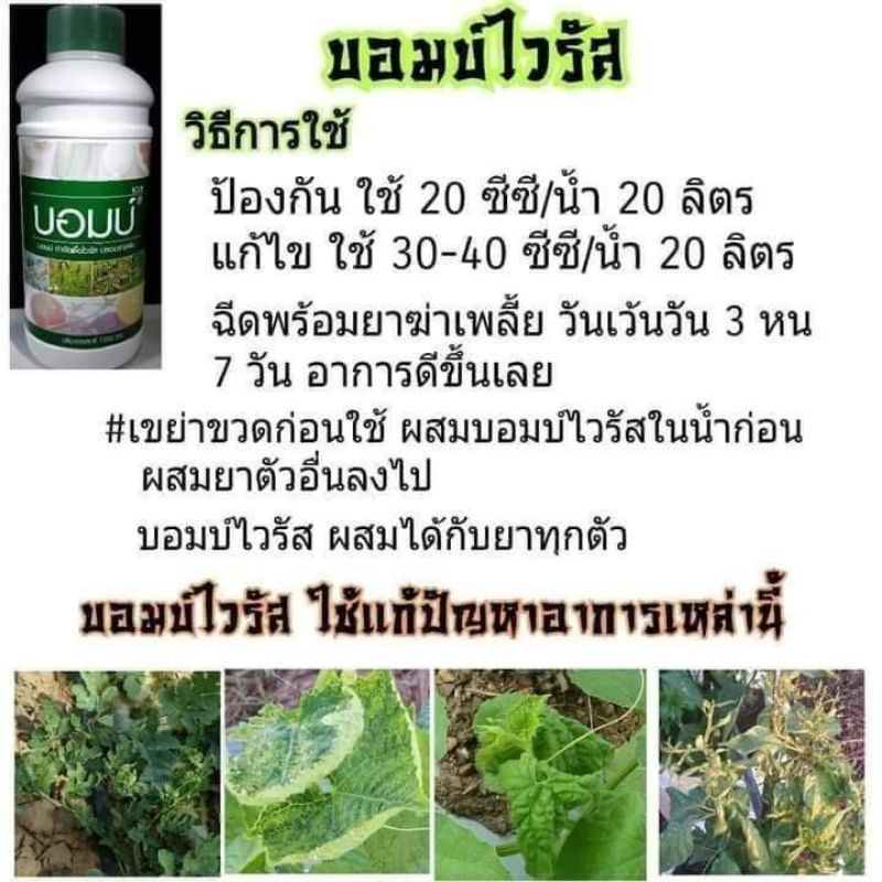 บอมบ์กำจัดเชื้อไวรัสเพลี้ยไฟไรแดง ขนาด 1000 ซีซี - รูปที่ 4