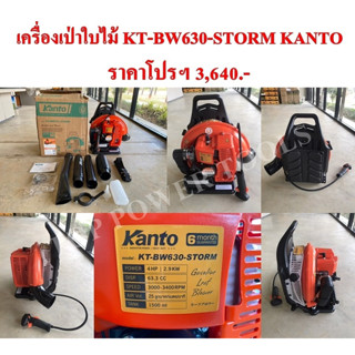 เครื่องเป่าใบไม้ KT-BW630-STORM KANTO