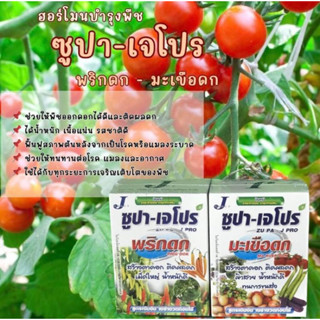 🌶️ฮอร์โมนพริกดก-มะเขือดก🍆(ซูปา-เจโปร)1ลิตร