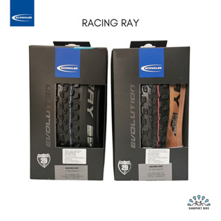 ยางนอกจักรยานเสือภูเขา Schwalbe Racing Ray 29นิ้ว | MTB tires 29er