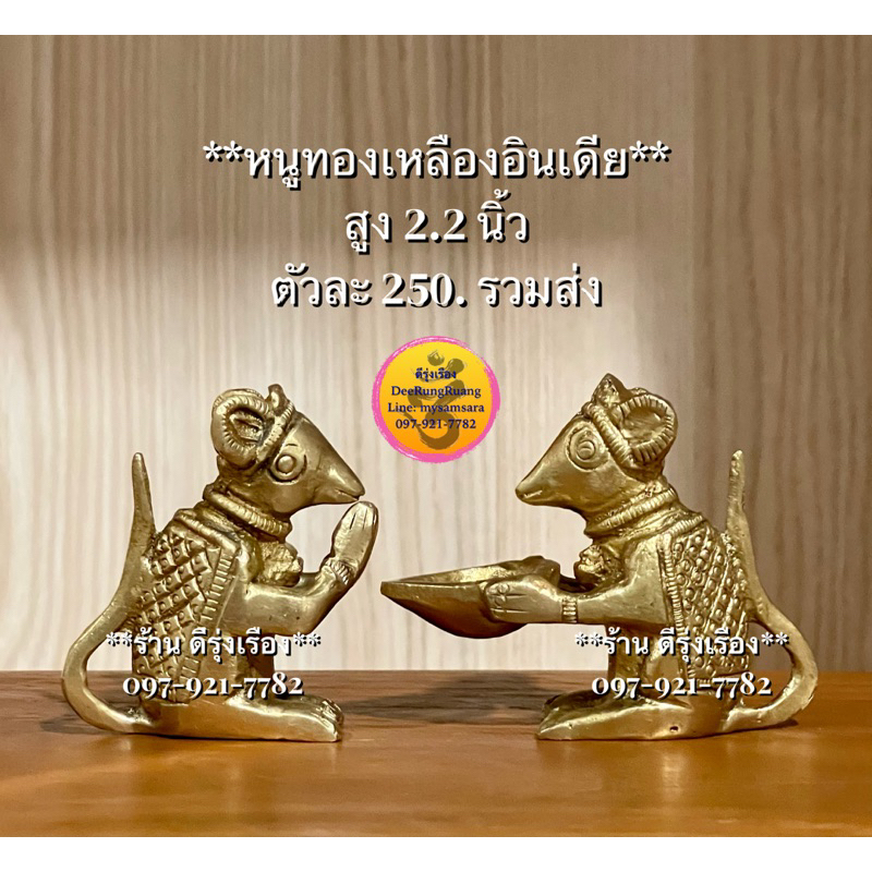 หนูทองเหลืองอินเดีย..สูง 2.2 นิ้ว